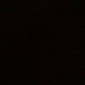 Meet a new Posher, Kylee.